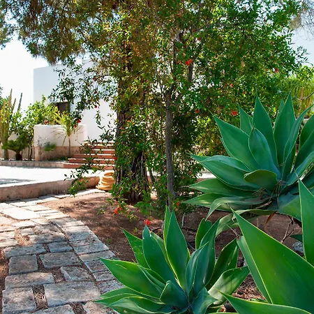 Almandia, Capitolo, מונופולי