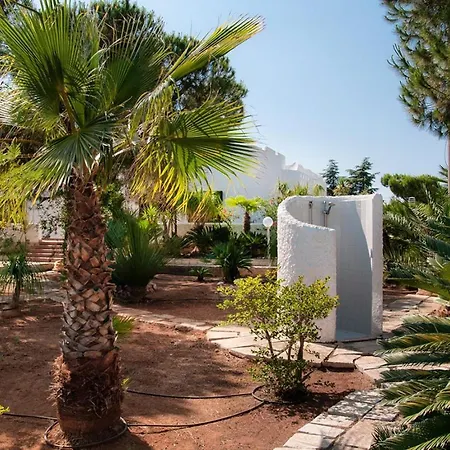 Almandia, Capitolo, מונופולי